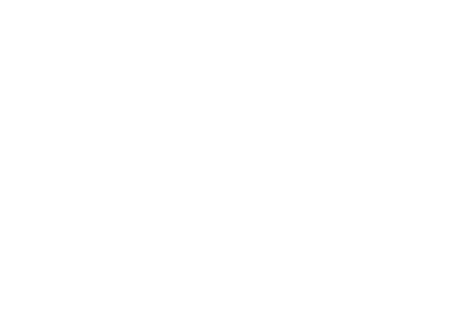 Valuable-White.png